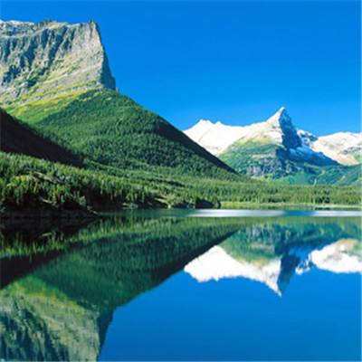 bte365真正的网站截图